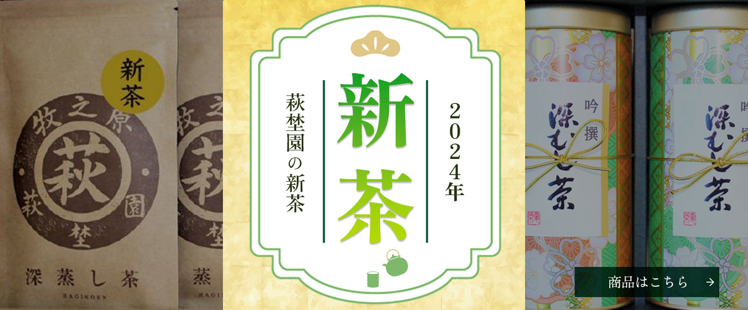 2024年萩埜園の新茶